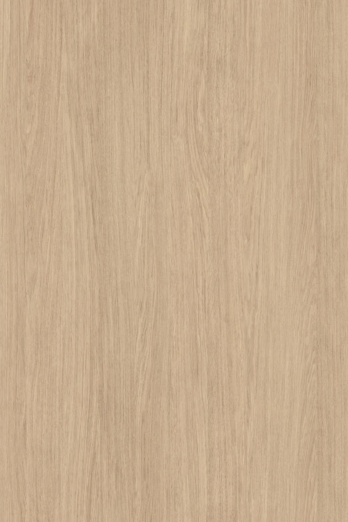 HPL loksne 0.8mm, Silk Primavera Oak, K694PV - Trukmė